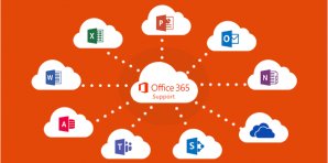 Microsoft 365 Support Services