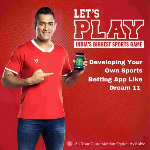 Want To Know The Importance Of Creating Your Own Sports App Like Dream 11?