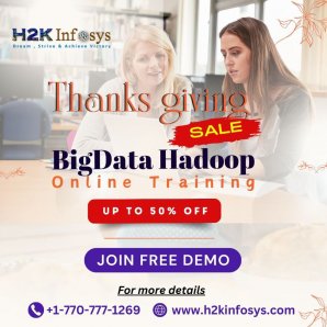 Big Data Hadoop Online Training: Mastering Big Data Hadoop for Success