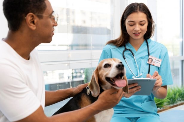 A Comprehensive Guide to Veterinary Education