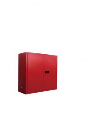 170 L Combustible Cabinet 
