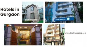 Exploring Comfort and Luxury: Hotels in Gurgaon