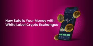 How Safe Is Your Money with White Label Crypto Exchanges