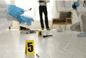 Types of crime scenes which require assistance of professional cleanup services