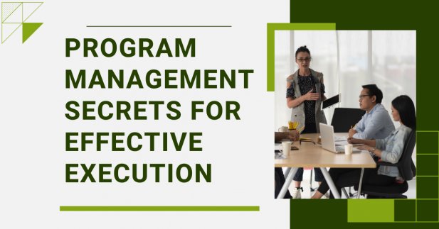 Program Management Secrets for Effective Execution